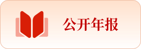 公开年报